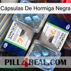 Cápsulas De Hormiga Negra viagra5